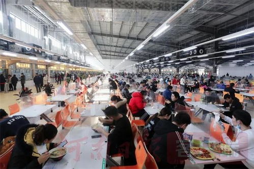 万人餐厅的智慧后勤 食材管控的极致艺术