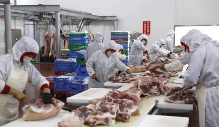 蔬东坡:蔬菜配送公司如果全面保证食材新鲜度与安全性?